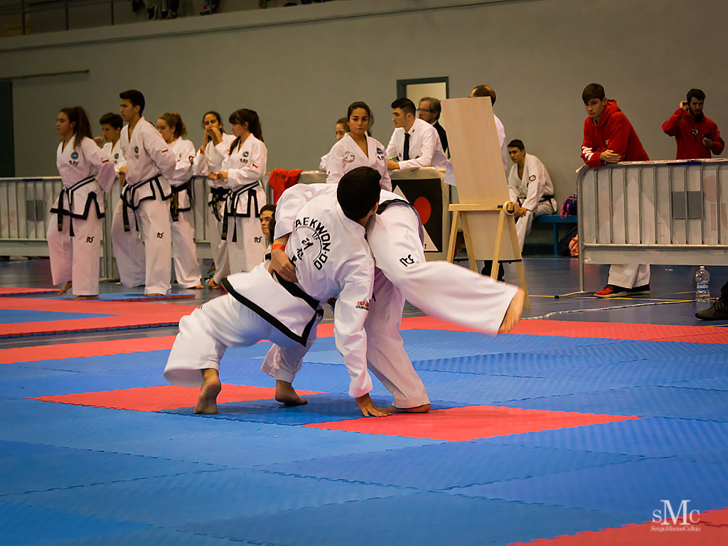 COPA SEUL, 2017  (99).JPG
